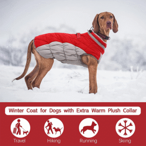 Dog Jacket