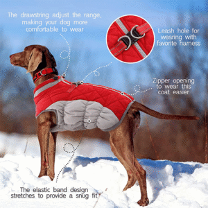 Dog Jacket