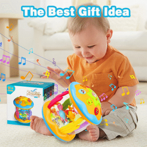 Baby Toys 6 to 12 Months